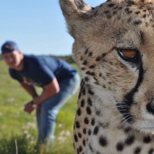 Meet your Posher, Kip